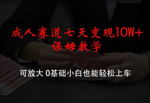 成人赛道七天变现10W+保姆教学，可放大，0基础小白也能轻松上车【揭秘】-虫2小屋