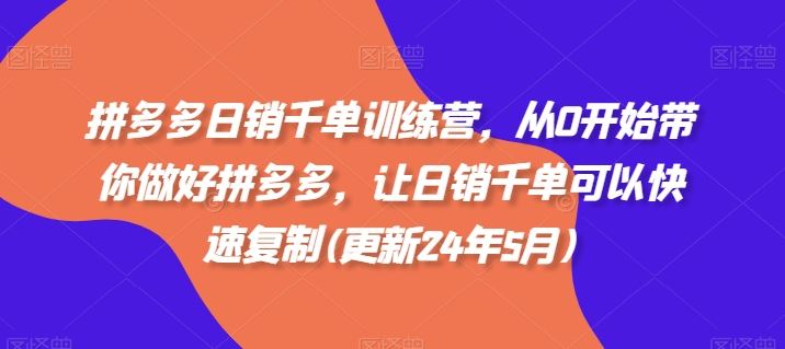 拼多多日销千单训练营，从0开始带你做好拼多多，让日销千单可以快速复制(更新24年8月)-虫2小屋