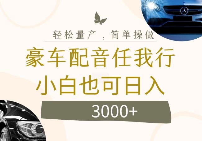 不为人知的暴力小项目，豪车配音，日入几张【揭秘】-虫2小屋