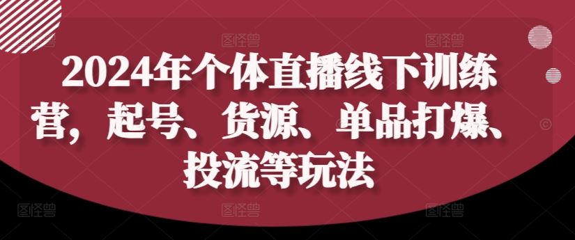 2024年个体直播训练营，起号、货源、单品打爆、投流等玩法-虫2小屋