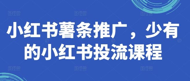 小红书薯条推广，少有的小红书投流课程-虫2小屋