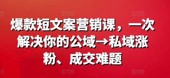 爆款短文案营销课，一次解决你的公域→私域涨粉、成交难题-虫2小屋