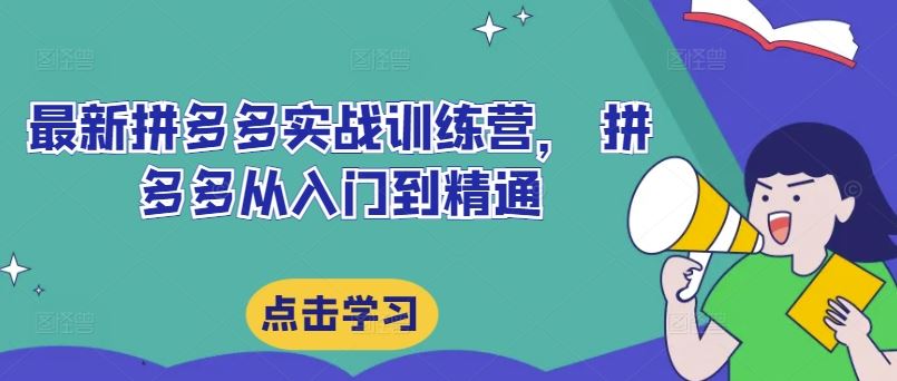 最新拼多多实战训练营， 拼多多从入门到精通-虫2小屋