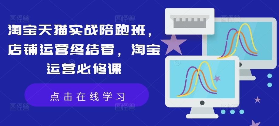 淘宝天猫实战陪跑班，店铺运营终结者，淘宝运营必修课-虫2小屋