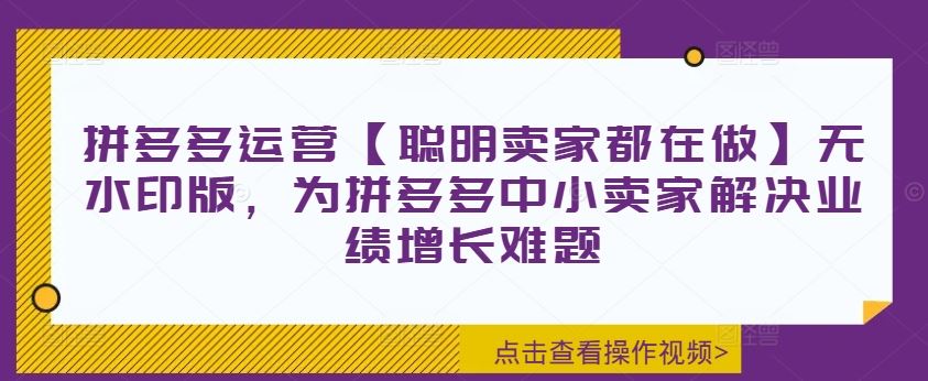 拼多多运营【聪明卖家都在做】无水印版，为拼多多中小卖家解决业绩增长难题-虫2小屋