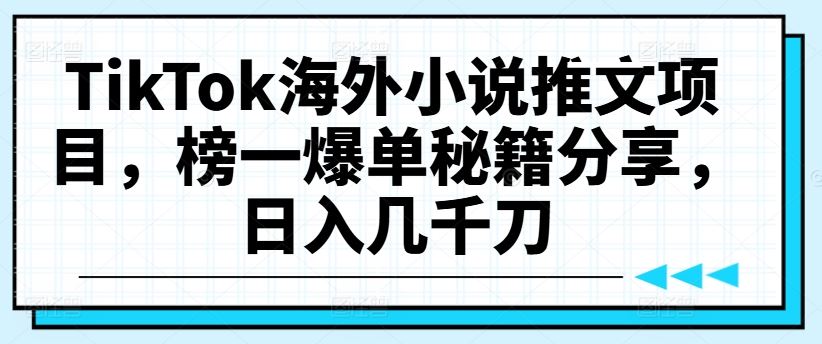 TikTok海外小说推文项目，榜一爆单秘籍分享，日入几千刀-虫2小屋