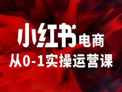 小红书电商从0-1实操运营课，让你从小白到精英-虫2小屋