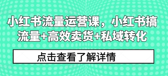 小红书流量运营课，小红书搞流量+高效卖货+私域转化-虫2小屋