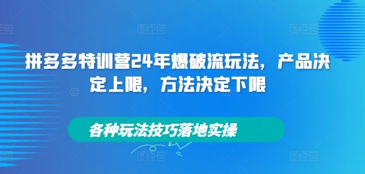 拼多多特训营24年爆破流玩法，产品决定上限，方法决定下限，各种玩法技巧落地实操-虫2小屋