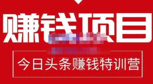懒人领域·今日头条项目玩法，头条中视频项目，单号收益在50—500可批量-虫2小屋