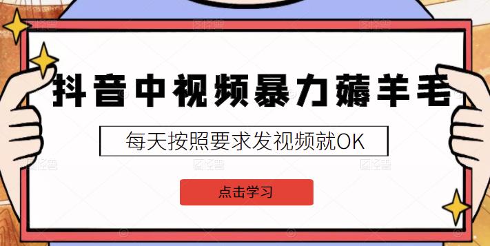 2022抖音中视频暴力薅羊毛白嫖项目：新号每天20块，老号几天几百块，可多号-虫2小屋
