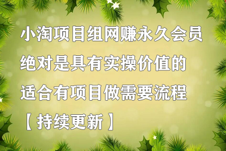 小淘项目组网赚永久会员，绝对是具有实操价值的，适合有项目做需要流程【持续更新】-虫2小屋