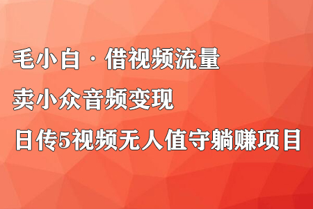 毛小白·借视频流量，卖小众音频变现，日传5视频无人值守躺赚项目-虫2小屋