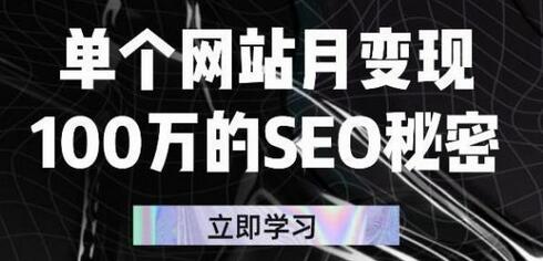 单个网站月变现100万的SEO秘密，百分百做出赚钱站点-虫2小屋