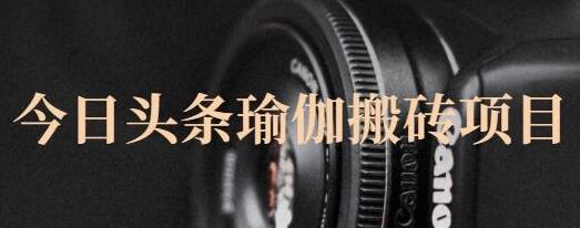 猎人社区·今日头条瑜伽搬砖项目，单号一天几十收入，可以批量操作！-虫2小屋