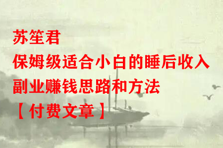 苏笙君·保姆级适合小白的睡后收入副业赚钱思路和方法-虫2小屋