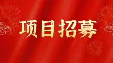 高鹏圈·蓝海中视频项目，长期项目，可以说字节不倒，项目就可以一直做！-虫2小屋