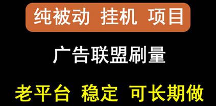 【稳定挂机】oneptp出海广告联盟挂机项目，每天躺赚几块钱，多台批量多赚些-虫2小屋