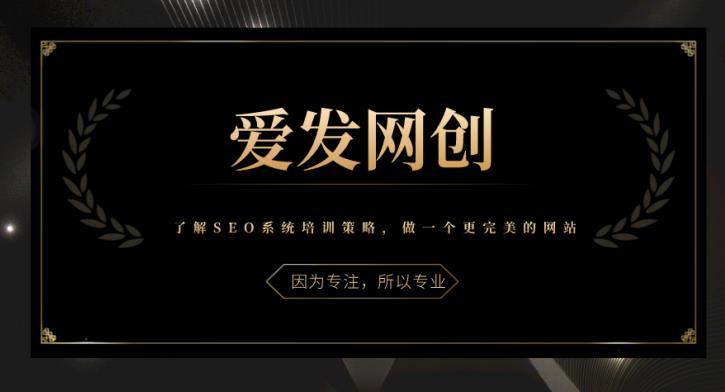 《爱发必学第15课》了解SEO系统培训策略，做一个更完美的网站【视频课程】-虫2小屋