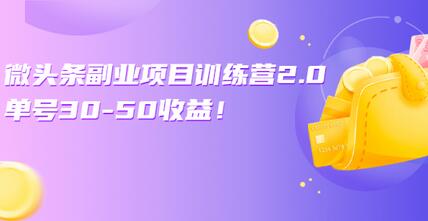 微头条副业项目训练营1.0+2.0：单号30-50收益！（无水印）-虫2小屋