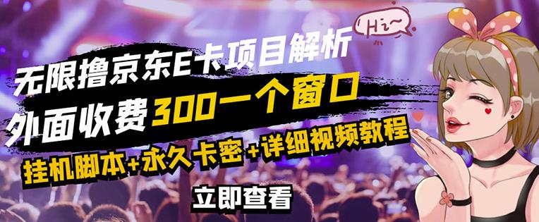 京东无限E卡全自动挂机项目，号称日入500–1000【永久版脚本+详细操作教程】-虫2小屋