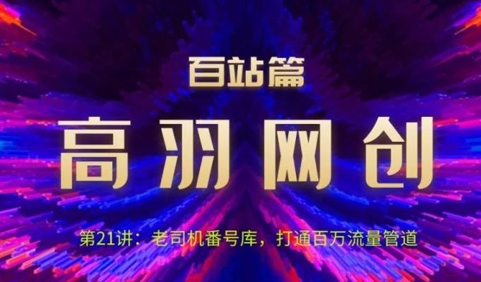 高羽网创百站篇第21讲：老司机番hao库，打通百万流量管道【视频课程】-虫2小屋