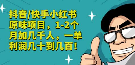 抖音/快手小红书原味项目，1-2个月加几千人，一单利润几十到几百！-虫2小屋