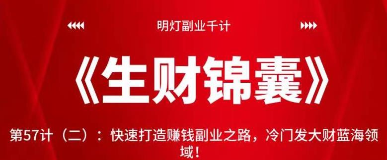 明灯副业千计—《生财锦囊》第57计（二）：快速打造赚钱副业之路，冷门发大财蓝海领域！【视频课程】-虫2小屋