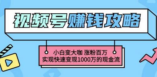 玩转微信视频号赚钱：小白变大咖涨粉百万实现快速变现1000万的现金流-虫2小屋