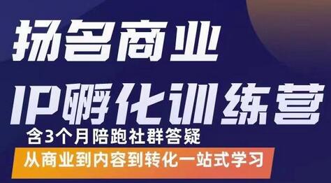杨名商业IP孵化训练营，从商业到内容到转化一站式学 价值5980元-虫2小屋