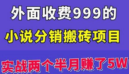 外面收费999的小说分销搬砖项目：实战两个半月赚了5W块，操作简单！-虫2小屋