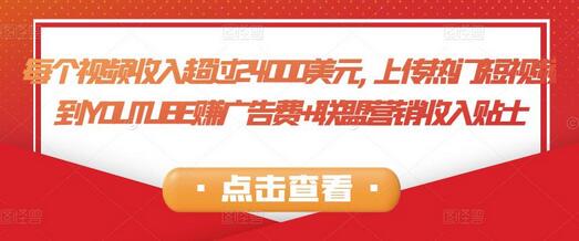 每个视频收入超过24000美元,上传热门短视频到YOUTUBE赚广告费+联盟营销收入-虫2小屋