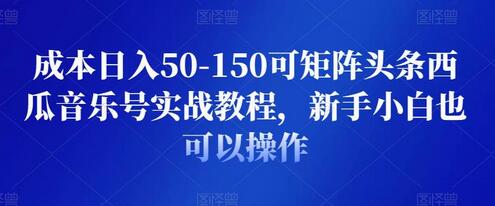 成本日入50-150可矩阵头条西瓜音乐号实战教程，新手小白也可以操作-虫2小屋