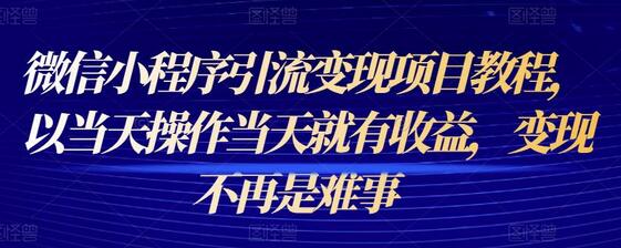 微信小程序引流变现项目教程，以当天操作当天就有收益，变现不再是难事-虫2小屋