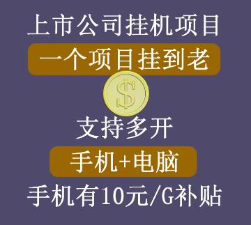 睿思挂机项目，支持手机电脑一起挂，支持虚拟机多开，手机挂有10元每G的流量补贴-虫2小屋