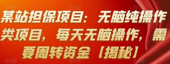 某站担保项目：无脑纯操作类项目，每天无脑操作，需要周转资金【揭秘】-虫2小屋