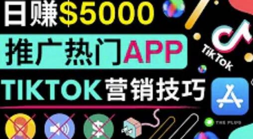无需露脸，无需录音，无需投资，轻松上传短视频，利用TIKTOK赚钱，最高日入5000美元-虫2小屋