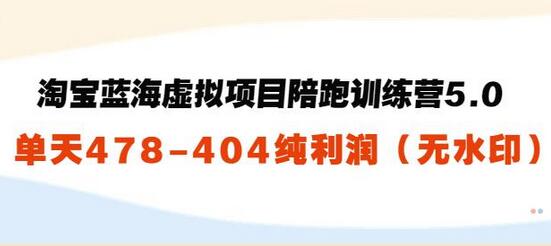 黄岛主：淘宝蓝海虚拟项目陪跑训练营5.0：单天478纯利润（无水印）-虫2小屋