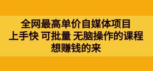 全网最高单价自媒体项目：上手快 可批量 无脑操作的课程，想赚钱的来-虫2小屋