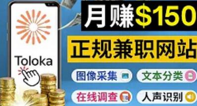 正规网络兼职赚钱平台Toloka，利用业余时间月赚150美元-虫2小屋
