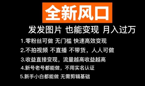 【全新风口】抖音头像号变现零基础教程，发发图片，月入过万-虫2小屋