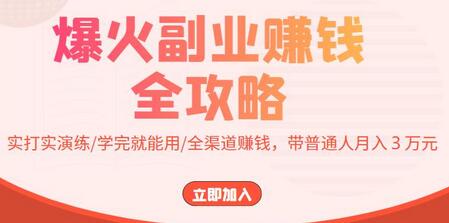 爆火副业赚钱全攻略：实打实演练/学完就能用/全渠道赚钱，带普通人月入３万元！-虫2小屋