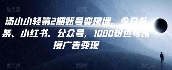 汤小小账号变现课第2期，今日头条、小红书、公众号，1000粉也可以接广告变现-虫2小屋