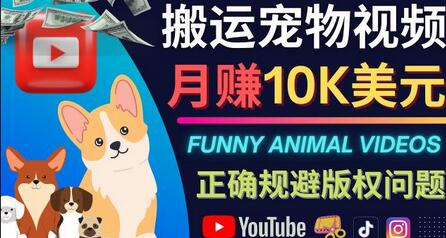 搬运TIKTOK视频到YouTube，并进行二次创作，月赚1万美元以上-虫2小屋