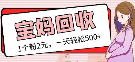 最新小红书母婴号宝妈粉回收项目，1个粉2元，一天轻松500+案例分享【粉丝包回收】-虫2小屋