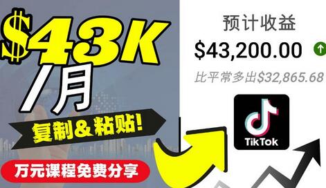 2022抖音国际版Tiktok赚钱项目：每天上传一个视频就轻松月入$43200-虫2小屋