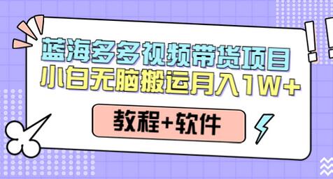 多多视频带货项目，搬运日入过万，0成本，轻松实现躺赚（教程+软件）-虫2小屋