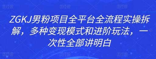 ZGKJ男粉项目全平台全流程实操拆解，多种变现模式和进阶玩法，一次性全部讲明白-虫2小屋