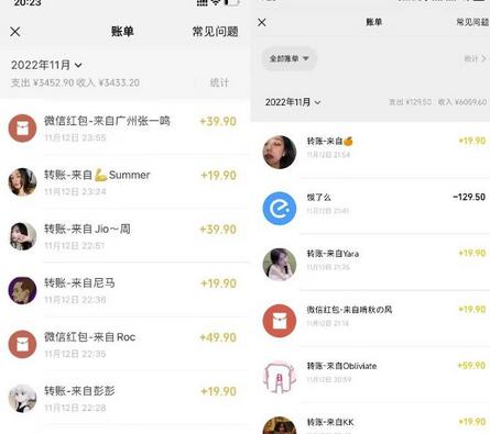 小红书虚拟电商项目：从小白到精英 月收益5000到30000 (视频课程+交付手册)