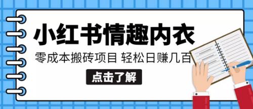 小红书0成本情趣内衣搬砖项目，轻松日赚几百+-虫2小屋